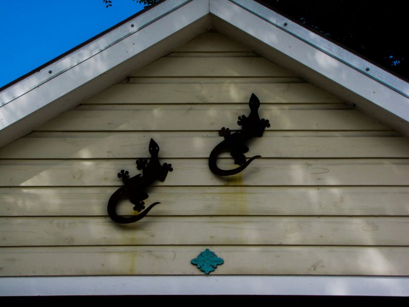 Shiplap Wood Siding Service